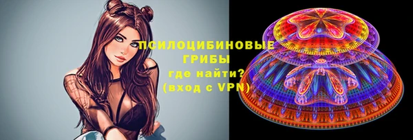 каннабис Богданович