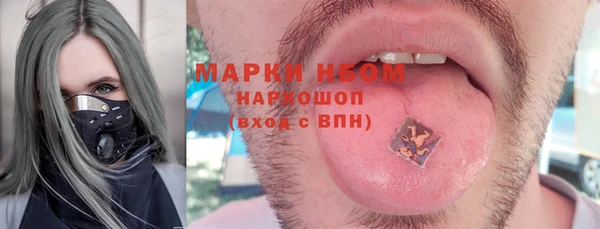 соль ск Богородицк