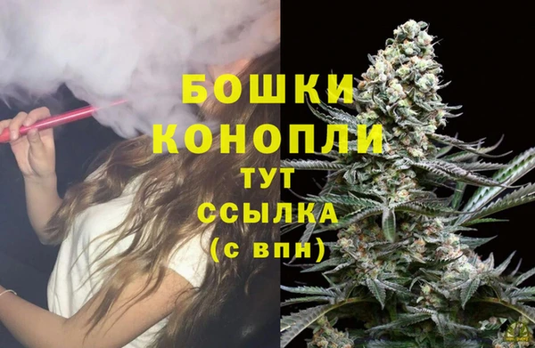 соль ск Богородицк
