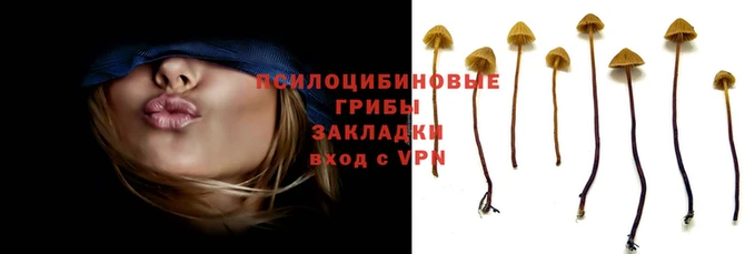 соль ск Богородицк