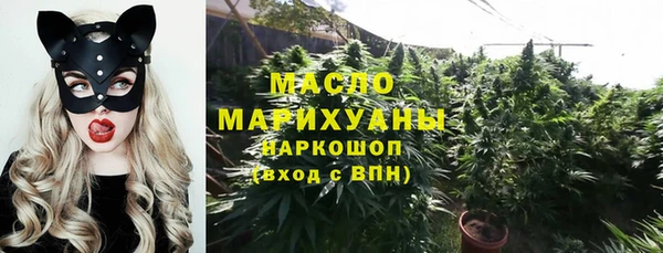 соль ск Богородицк