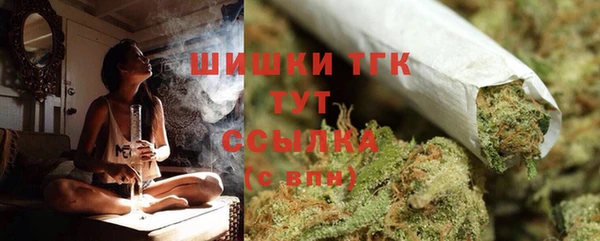 соль ск Богородицк